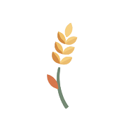 Wheat stalk icon for niche farmer dating site focus