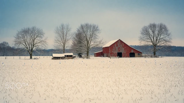 Snow-covered farm field with a red barn resting in winter, linking to how to date a farmer